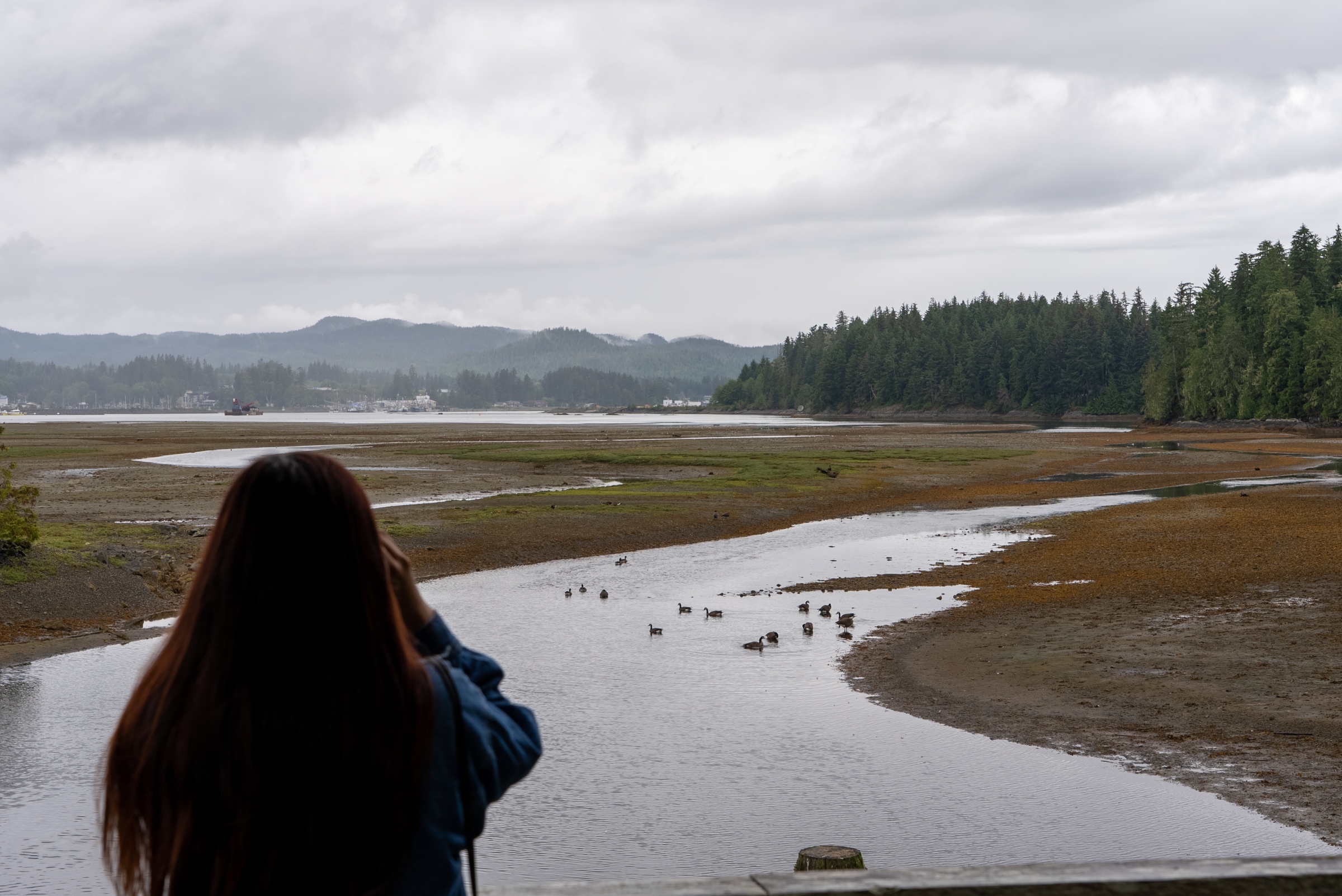 Person bird watching at an estuary