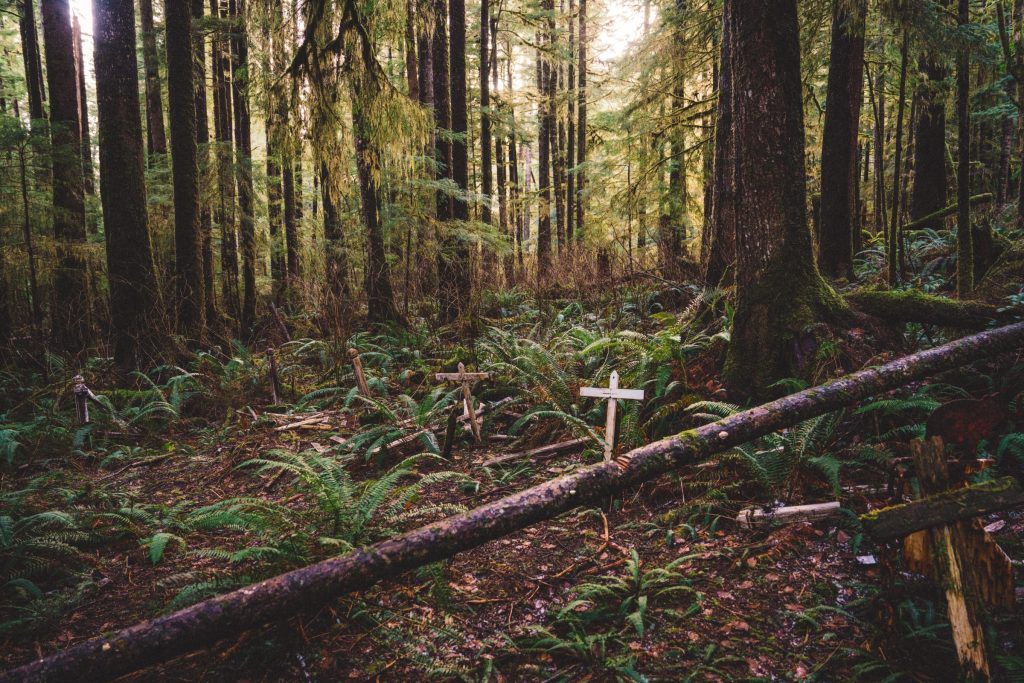 White crosses in a remote forest